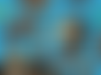 KSN水上集落マップチップ