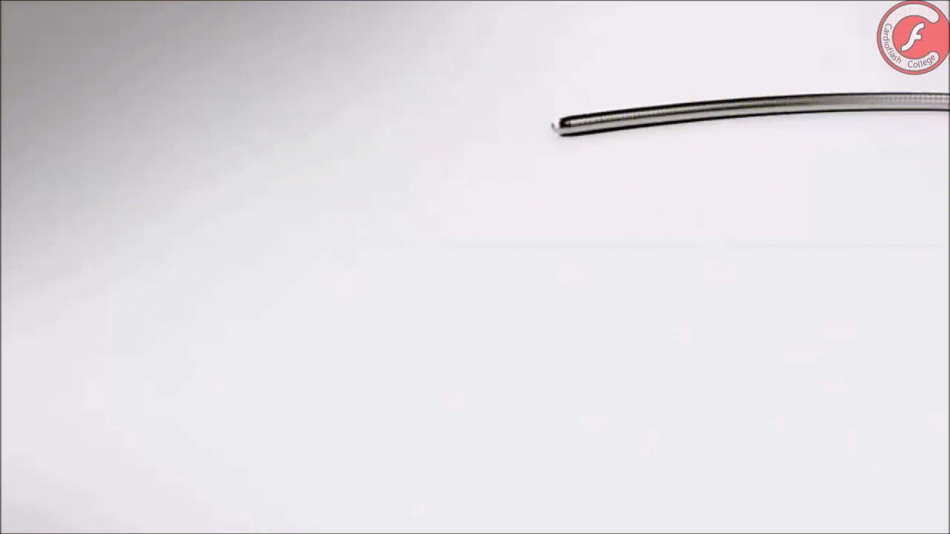 Twitter-CARDIVA-3.gif