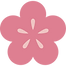 plum blossom vector-07.png