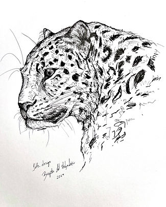 IMG_8291.jpeg