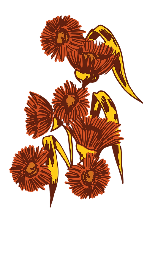 Body (1)_edited.png