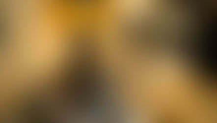 A Ilusão do Saber na Constelação Familiar | Dunning-Kruger