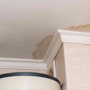 Ceiling Defects: Water Damage and Stains – What Every Homeowner Should Know