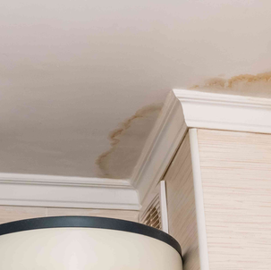 Ceiling Defects: Water Damage and Stains – What Every Homeowner Should Know