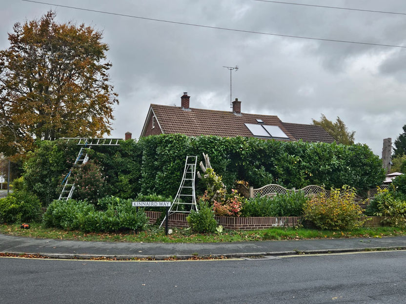 Hedge trimming and removal services across Ely, Cambridgeshire, Suffolk & Newmarket