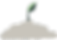 seedling_1.png