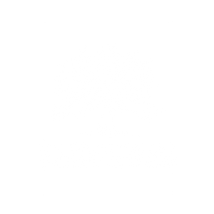 Solomon Valley logo B13.png