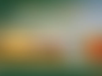 10 Tips for Smart Year-End Giving & Tax Planning