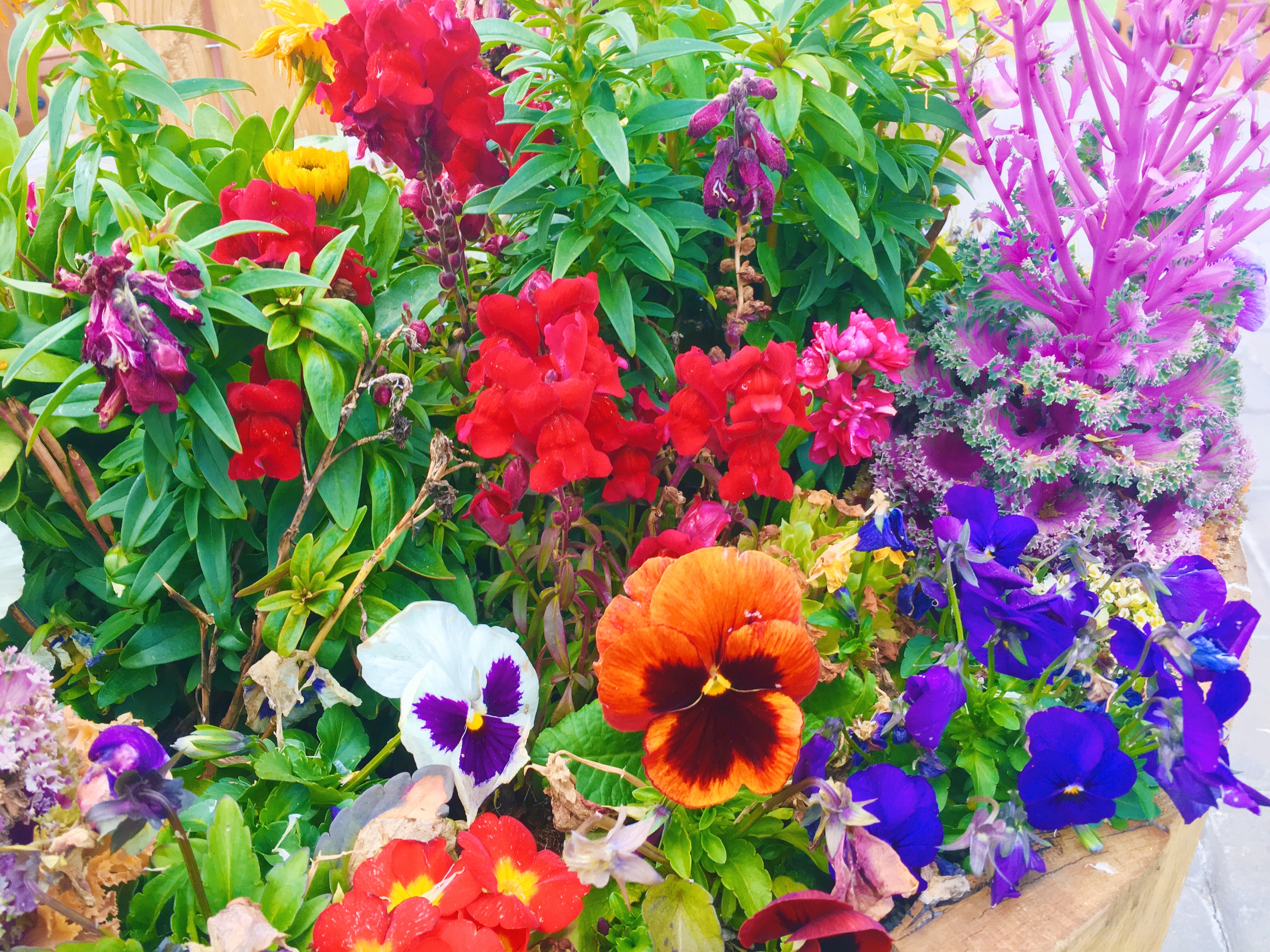 Flower Arrangements