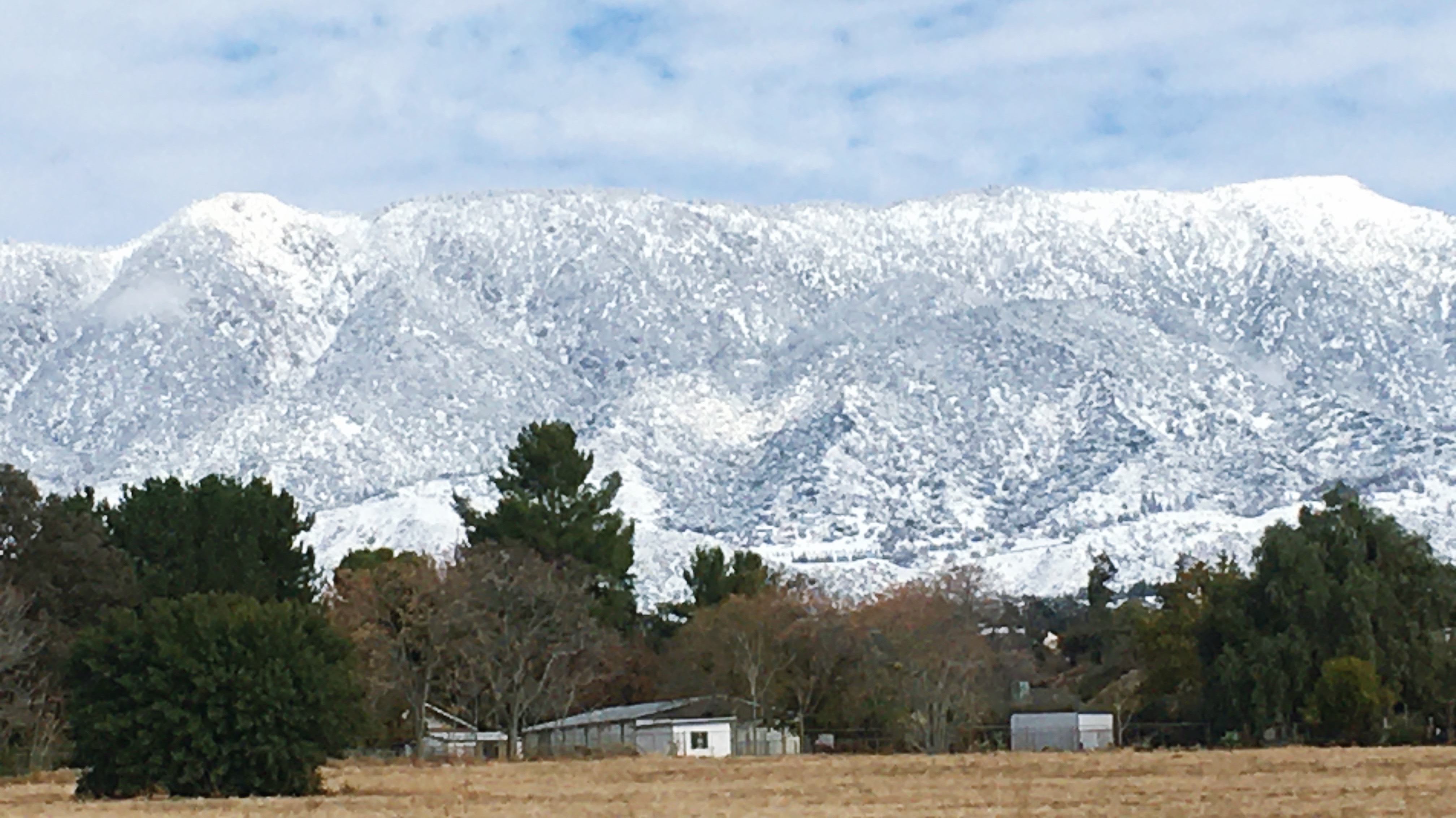 Winter Wonderland