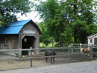 ferme-1.JPG