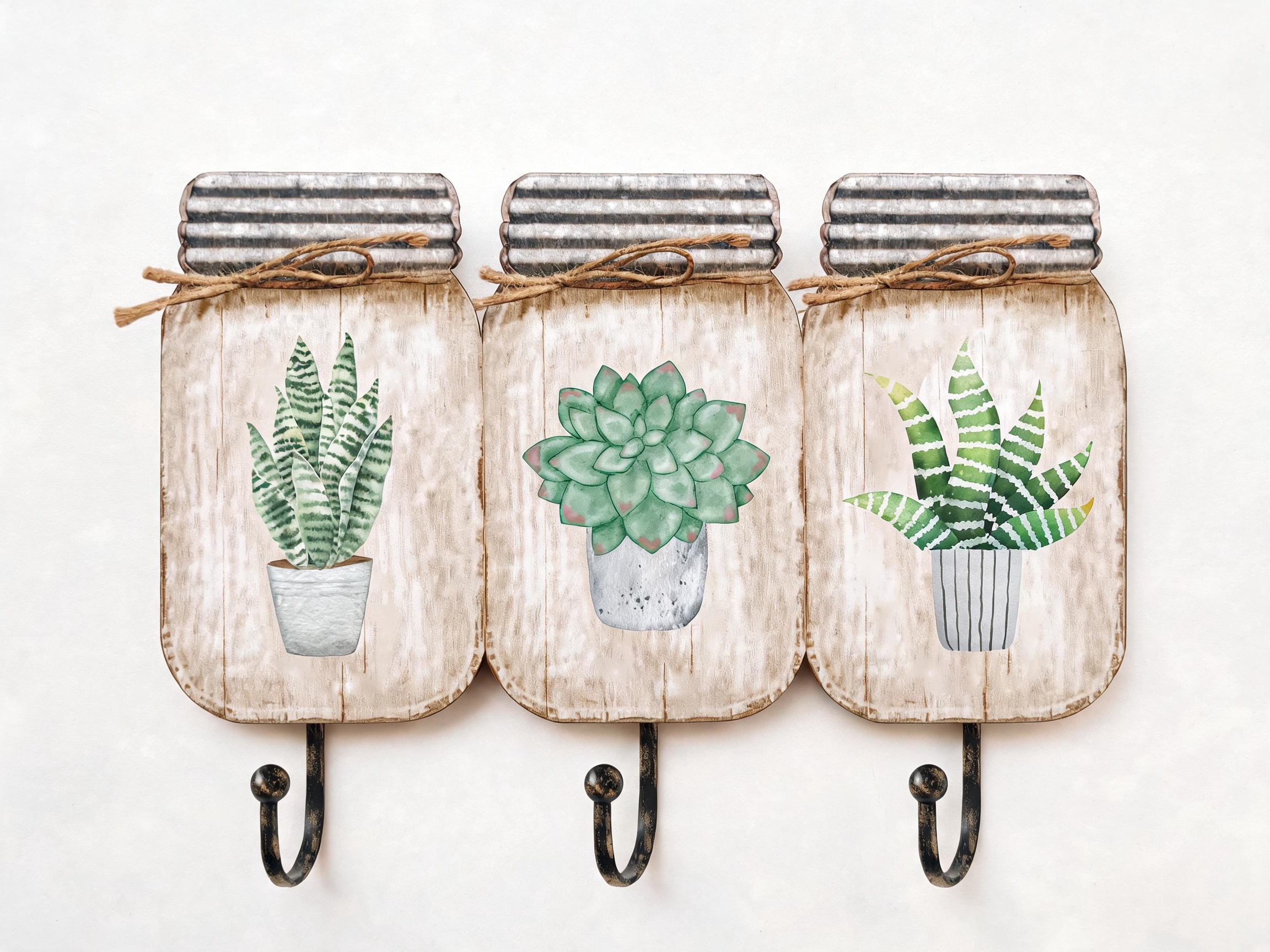Succulent Mason Jar Wall Hook