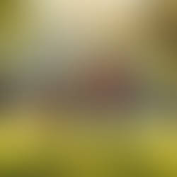 A Stronger District 1 Starts With Us