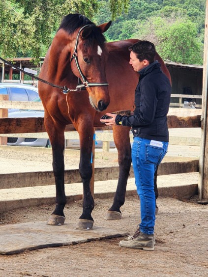 Writer: Angela Chiarenza