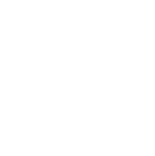 Rein Strategies Logo - White_edited.png