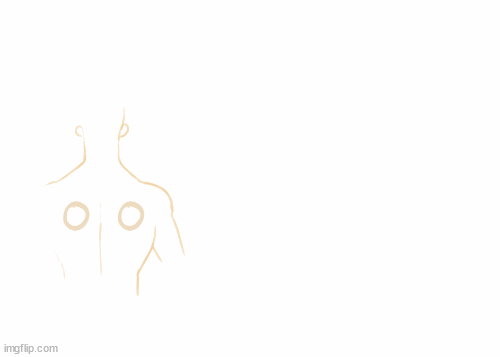 isa vleugels animatie.gif