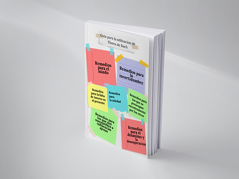standing-book-mockup (2).png