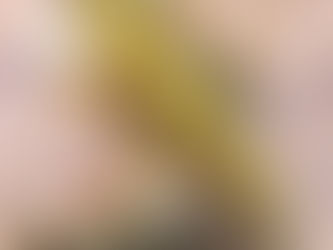 The Magic of Play: How Plush Toys Inspire Imagination