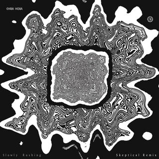 Slowly Rushing Single - Skeptical Remix / bandcamp