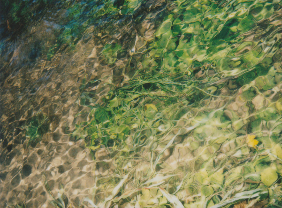Ophelia