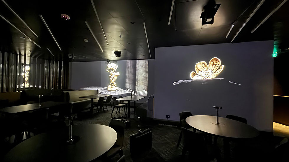 FUGU_EXperience_Lounge_03.jpeg
