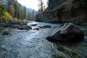 AdobeStock_90696611.jpeg