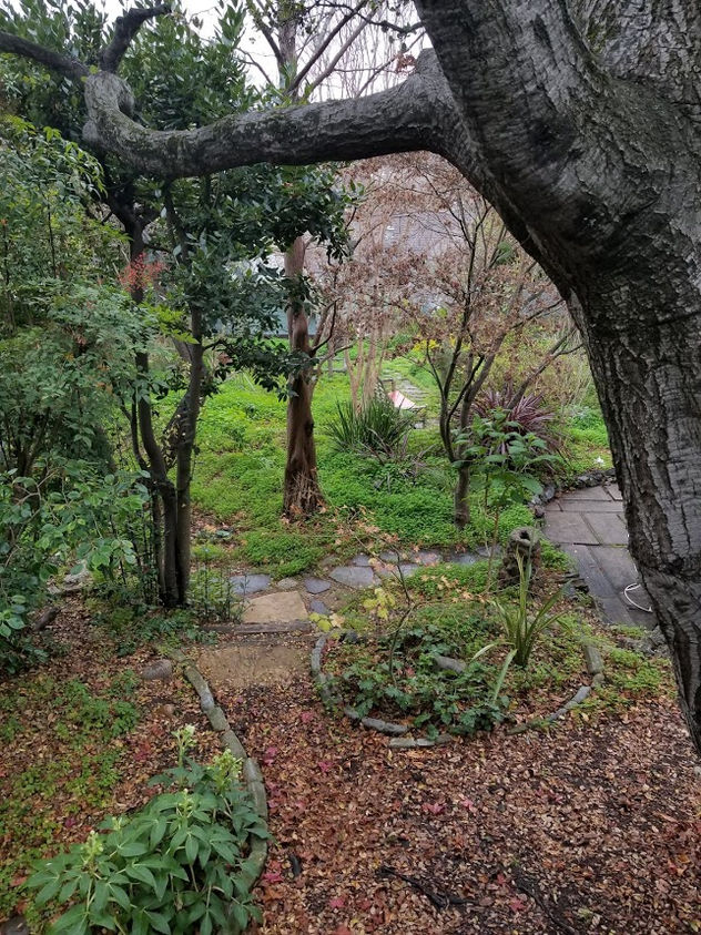 2019 Fresh start