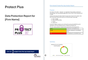 PP gap analysis report cover.png
