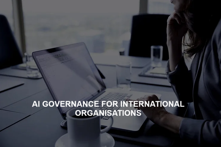 AI Governance for IOs