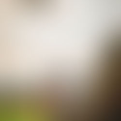 Drone Surveying and GIS Applications