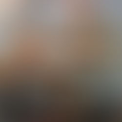 Why are Drones the future for Fire Ant Control in Agriculture?