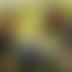 With USDA Projecting Record Declines in Profit, Here are 5 Steps We Are Using to Save on Input Costs This Year