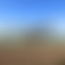 Launching a Drone Spraying Business: The Future of Precision Agriculture