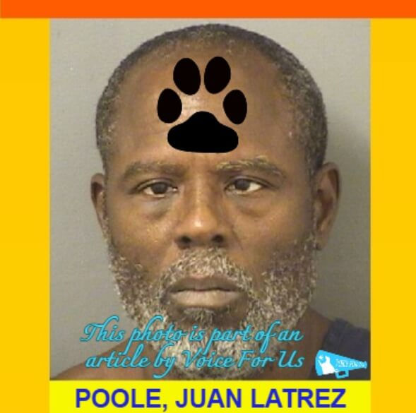 JUAN LATREZ POOLE caught on video repeatedly slamming a dog to the ground and lifting the furvictim by the leash