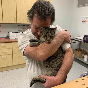 Cat reunited with his family after seven years
