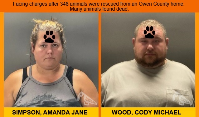 Amanda R Simpson Man AMANDA JANE SIMPSON and CODY MICHAEL WOOD charged after 348 animals ...