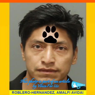 AMALFI AVIDAI ROBLERO-HERNANDEZ arrested on accusations of lewd acts with a defenseless doeling