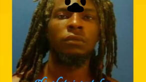 LAMETRIUS CARTEZ MOSS in custody, MONTEL HADLEY on the run in animal cruelty investigation
