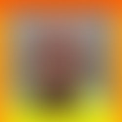 CORY RAY EVANS arrested for shooting a pregnant dog twice