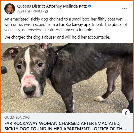 EVADNE HARRINGTON facing charges after her emaciated dog was found ...