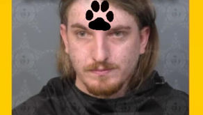 ANDREW WAYNE TRIPP CARROLL arrested on accusation of neglecting his dog to the extent that the furvictim had to be euthanized