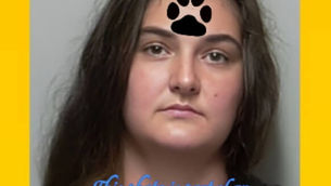 CHEYENNE LOUISE BALDWIN arrested after three emaciated horses were removed from a property in Putnam County - One of them had to be euthanized 