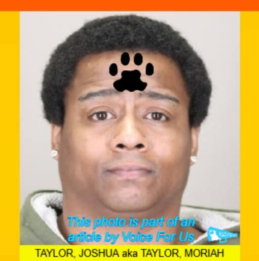 JOSHUA TAYLOR, aka MORIAH TAYLOR, sentenced in animal cruelty case for causing the death of two kittens and harming a third