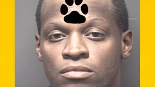 DAVID DEROME BARNES arrested for abusing and injuring a puppy