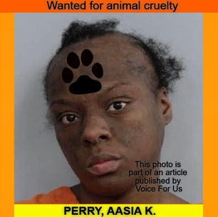 AASIA K. PERRY wanted on animal cruelty charges for abandoning a dog in deplorable conditions