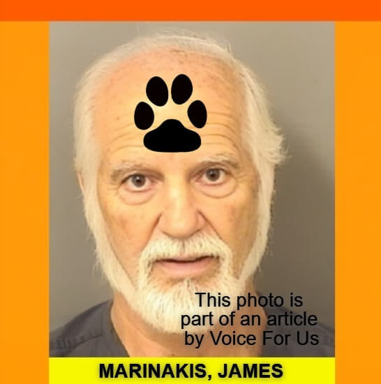JAMES MARINAKIS arrested after Palm Beach County authorities discovered several malnourished and injured horses living in filthy stalls