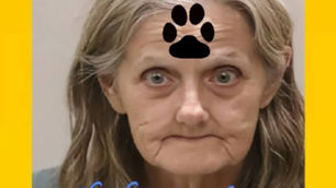 GAIL GEIDE GIUSTINO, mail carrier, arrested for taking animals she found along her mail route and hoarding them in her house