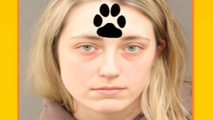 SAMANTHA LYNN KOSS, pet sitter, arrested on accusations of kicking a dog in her care several times and striking him repeatedly in the face