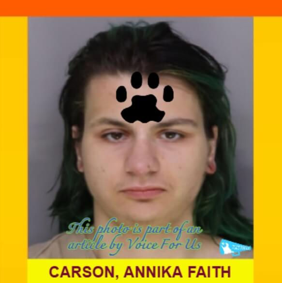 ANNIKA FAITH CARSON arrested for throwing a kitten from a balcony and then snapping the feline’s neck
