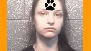 CASSIDY GILL, former employee of Hollywood Pets, arrested after video showed her abusing dogs